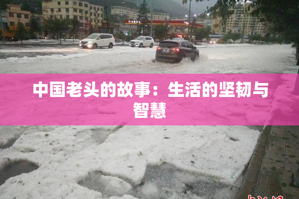 中国老头的故事：生活的坚韧与智慧