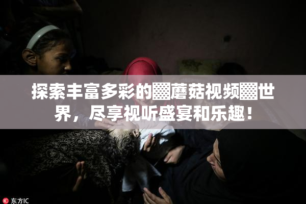 探索丰富多彩的▓蘑菇视频▓世界，尽享视听盛宴和乐趣！