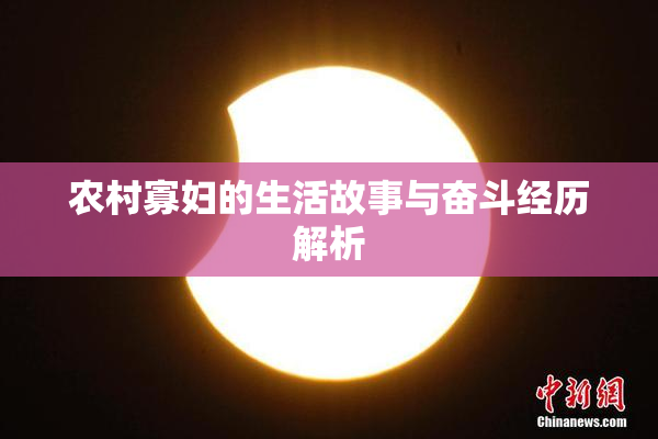 农村寡妇的生活故事与奋斗经历解析