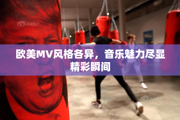 欧美MV风格各异，音乐魅力尽显精彩瞬间
