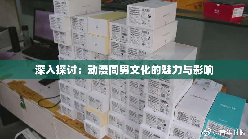 深入探讨：动漫同男文化的魅力与影响