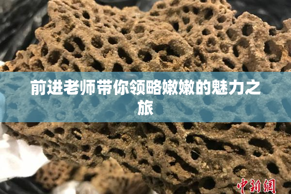 前进老师带你领略嫩嫩的魅力之旅