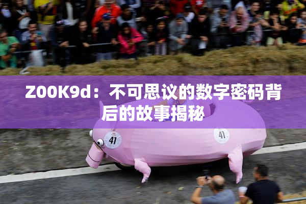 Z00K9d：不可思议的数字密码背后的故事揭秘