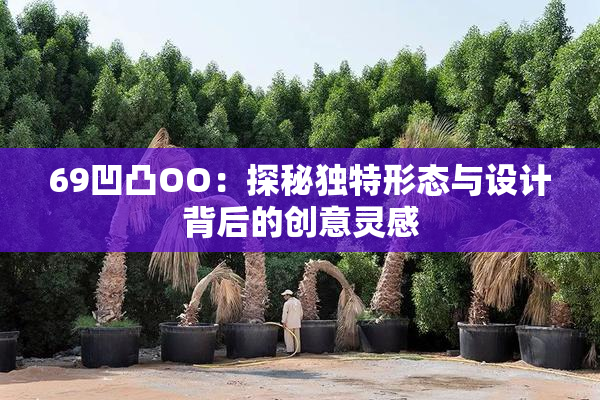 69凹凸OO：探秘独特形态与设计背后的创意灵感