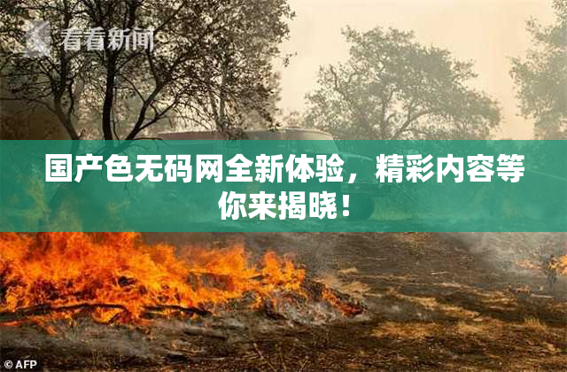 国产色无码网全新体验，精彩内容等你来揭晓！