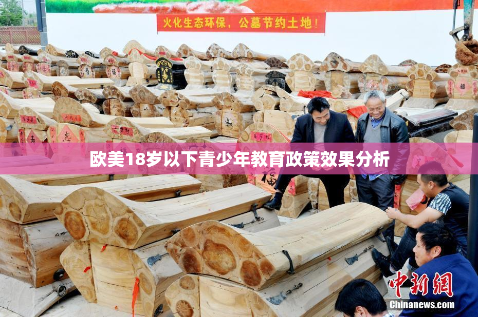 欧美18岁以下青少年教育政策效果分析