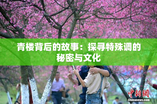 青楼背后的故事：探寻特殊调的秘密与文化