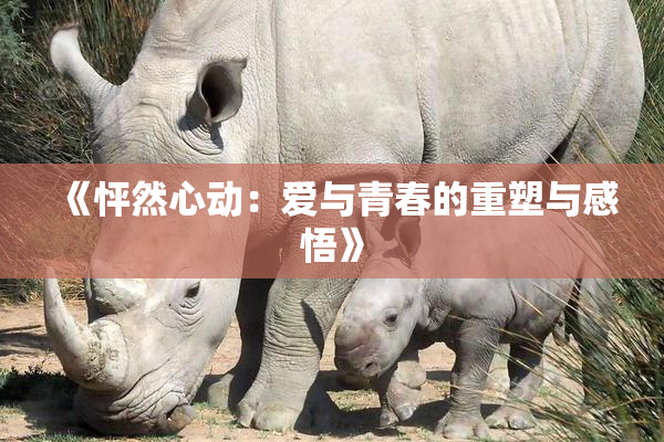《怦然心动：爱与青春的重塑与感悟》