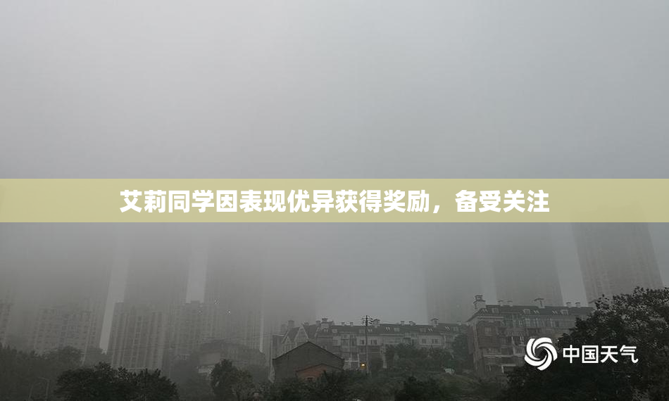 艾莉同学因表现优异获得奖励，备受关注