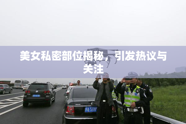 美女私密部位揭秘，引发热议与关注
