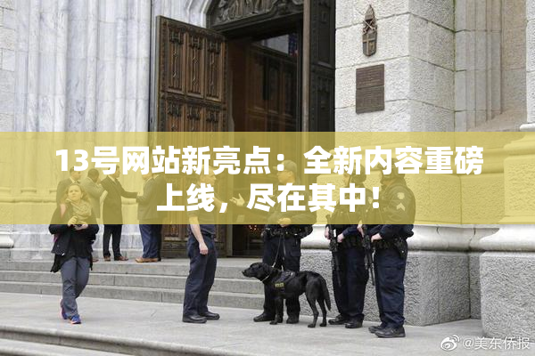 13号网站新亮点：全新内容重磅上线，尽在其中！