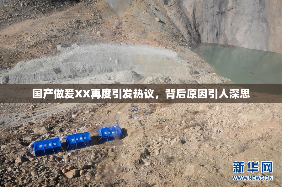国产做爰XX再度引发热议，背后原因引人深思