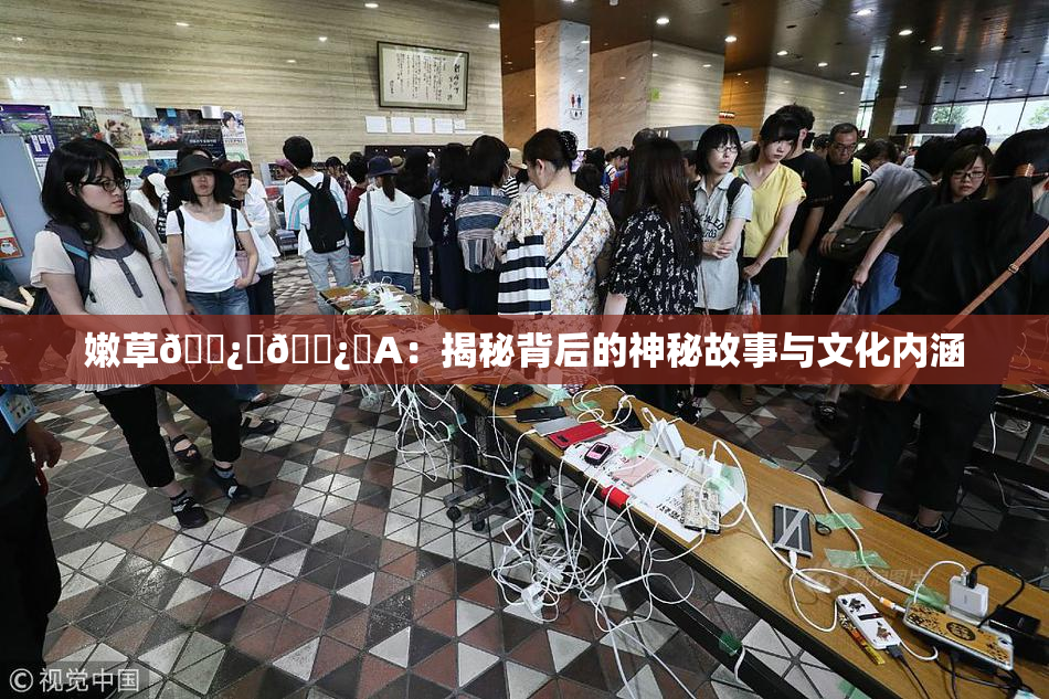 嫩草🌿‌🌿‌A：揭秘背后的神秘故事与文化内涵
