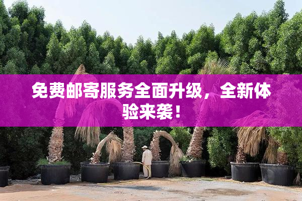 免费邮寄服务全面升级，全新体验来袭！