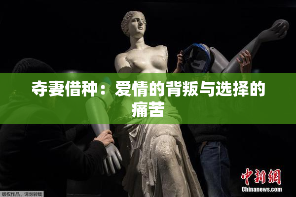 夺妻借种：爱情的背叛与选择的痛苦
