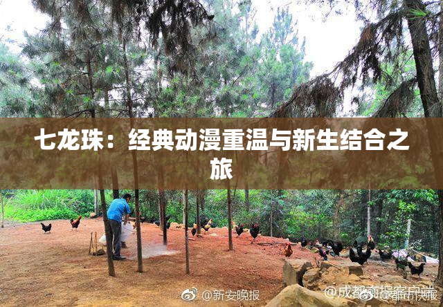 七龙珠：经典动漫重温与新生结合之旅
