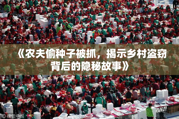 《农夫偷种子被抓，揭示乡村盗窃背后的隐秘故事》