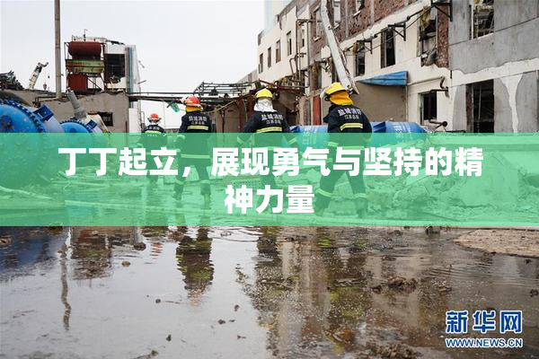 丁丁起立，展现勇气与坚持的精神力量