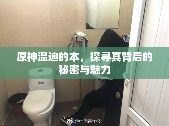 原神温迪的本，探寻其背后的秘密与魅力