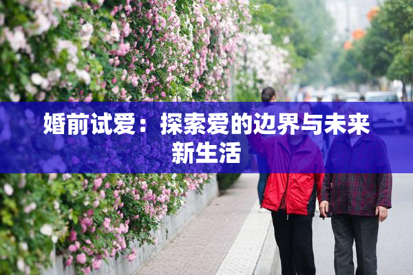 婚前试爱：探索爱的边界与未来新生活
