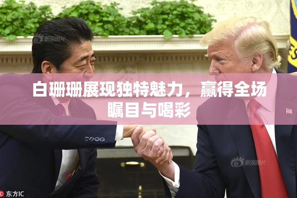 白珊珊展现独特魅力，赢得全场瞩目与喝彩