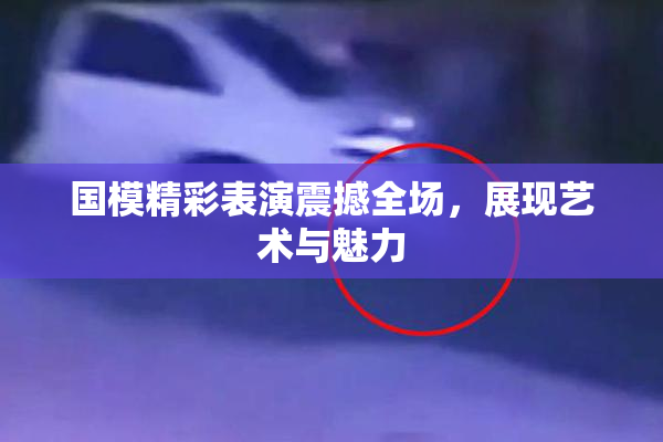 国模精彩表演震撼全场，展现艺术与魅力