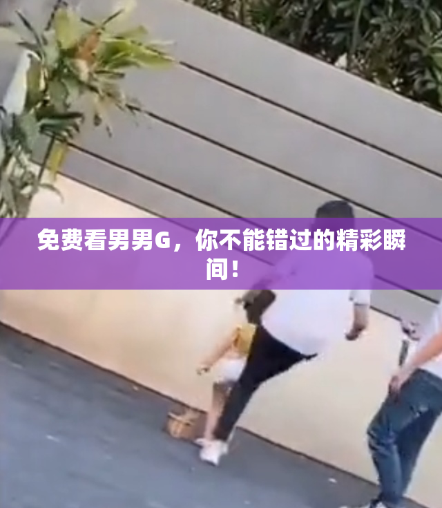 免费看男男G，你不能错过的精彩瞬间！