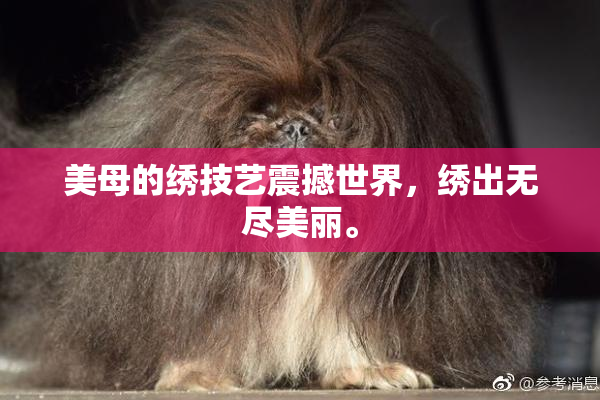 美母的绣技艺震撼世界，绣出无尽美丽。