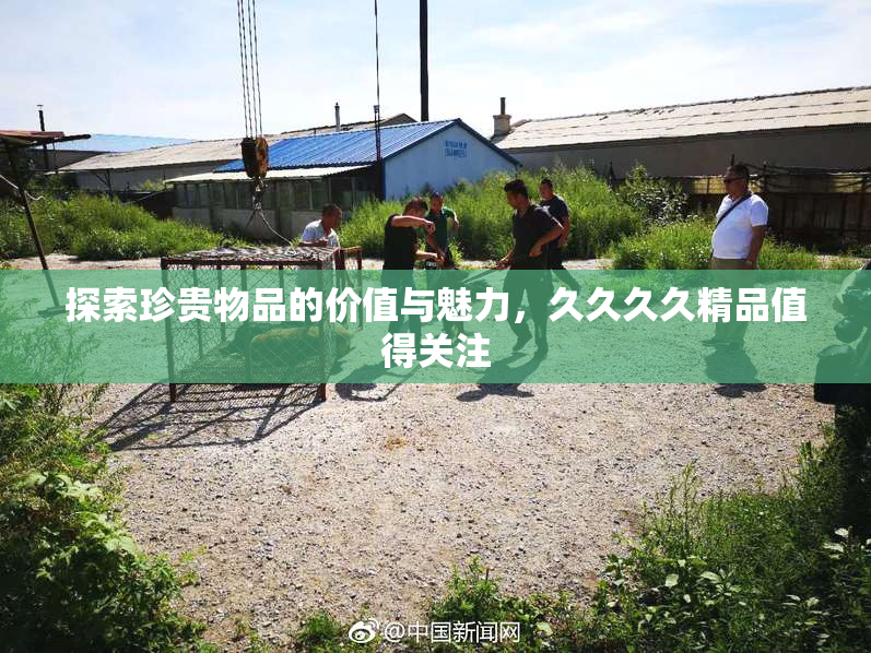 探索珍贵物品的价值与魅力，久久久久精品值得关注