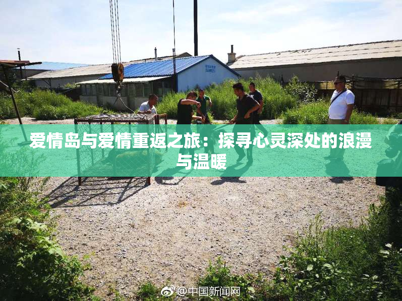爱情岛与爱情重返之旅：探寻心灵深处的浪漫与温暖
