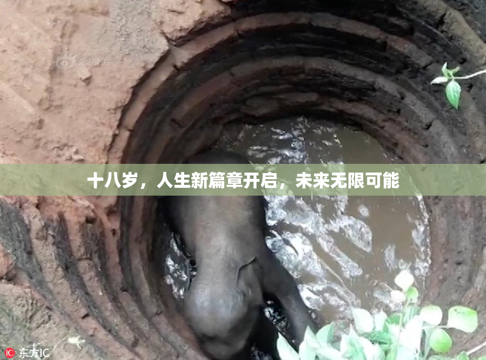 十八岁，人生新篇章开启，未来无限可能