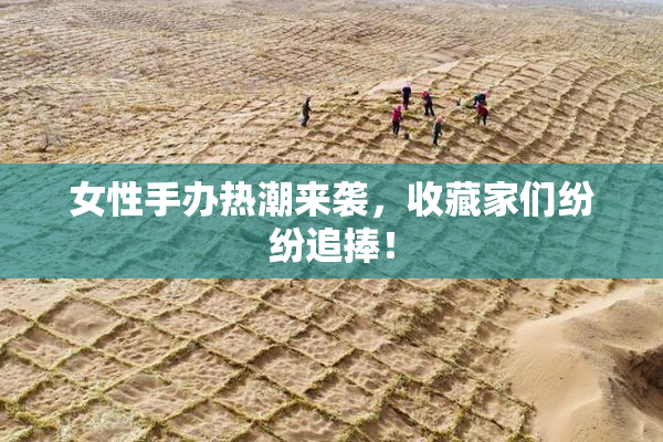 女性手办热潮来袭，收藏家们纷纷追捧！