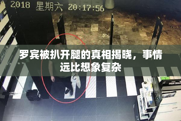 罗宾被扒开腿的真相揭晓，事情远比想象复杂