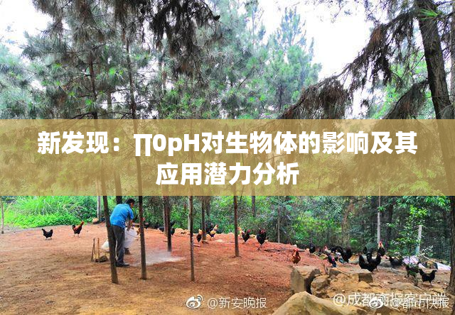 新发现：∏0pH对生物体的影响及其应用潜力分析