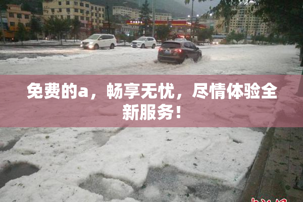 免费的a，畅享无忧，尽情体验全新服务！