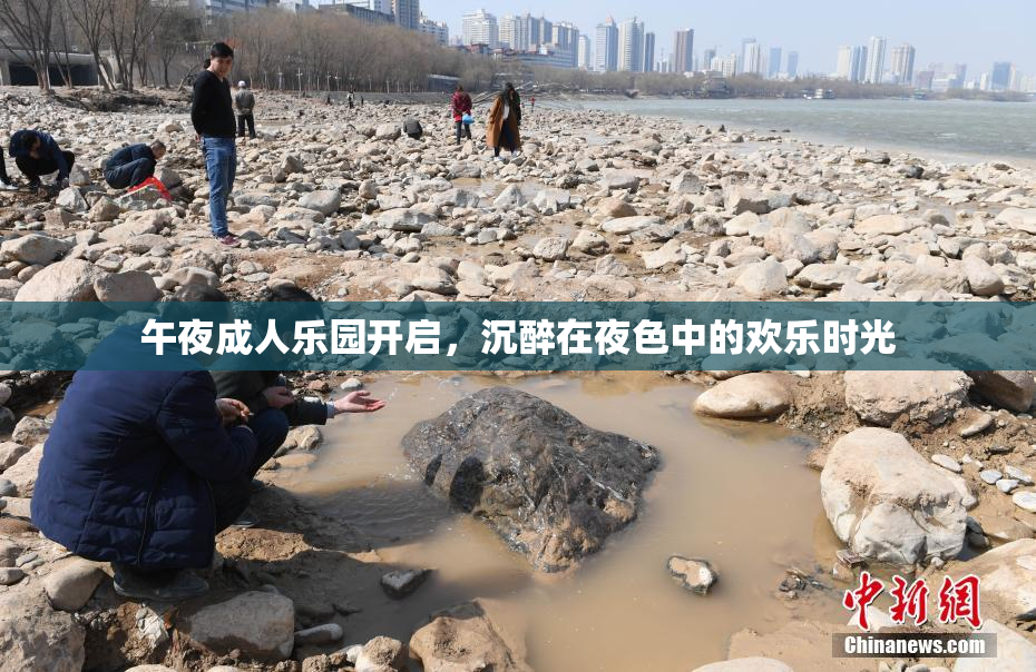午夜成人乐园开启，沉醉在夜色中的欢乐时光