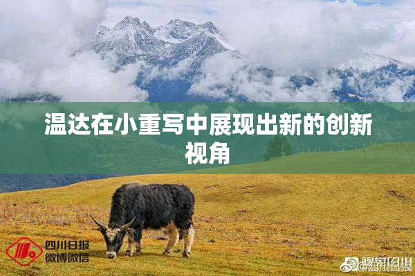 温达在小重写中展现出新的创新视角
