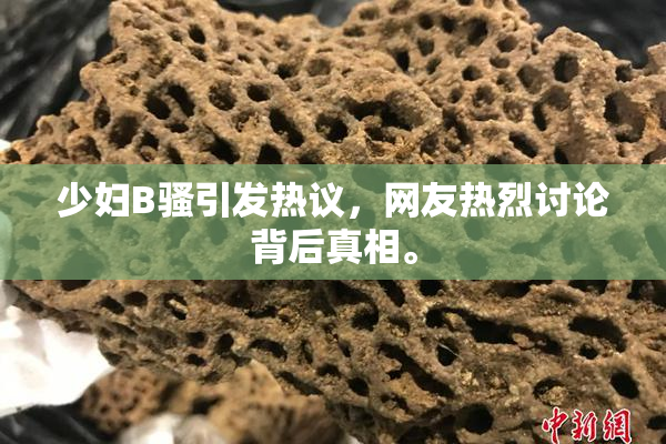 少妇B骚引发热议，网友热烈讨论背后真相。