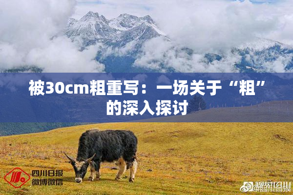 被30cm粗重写：一场关于“粗”的深入探讨