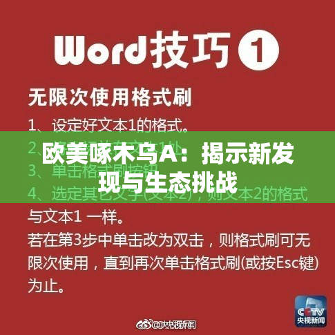 欧美啄木乌A：揭示新发现与生态挑战