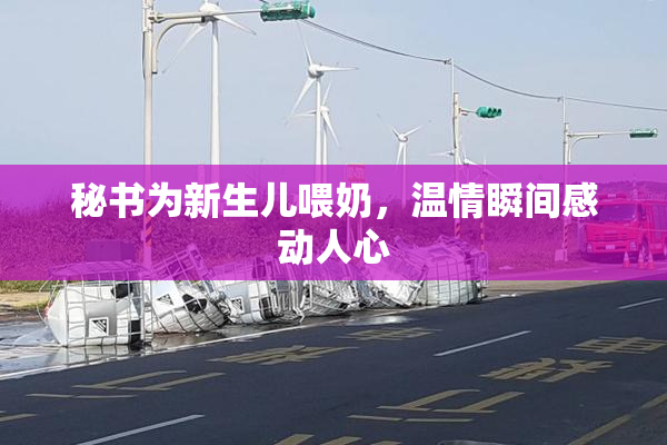 秘书为新生儿喂奶，温情瞬间感动人心