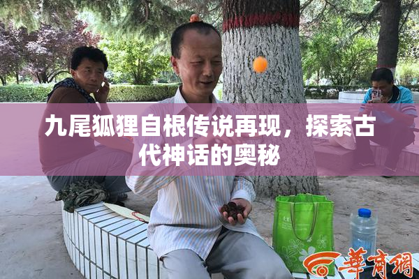 九尾狐狸自根传说再现，探索古代神话的奥秘