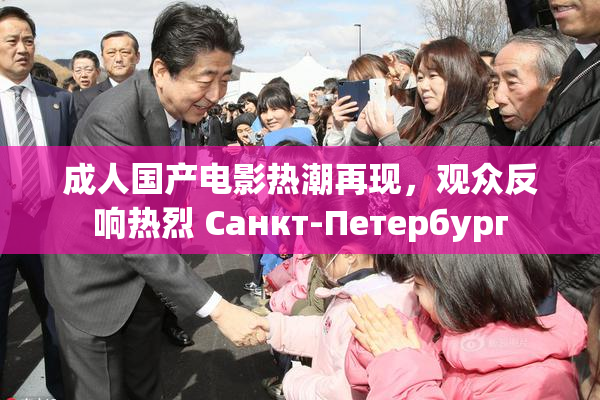 成人国产电影热潮再现，观众反响热烈 Санкт-Петербург