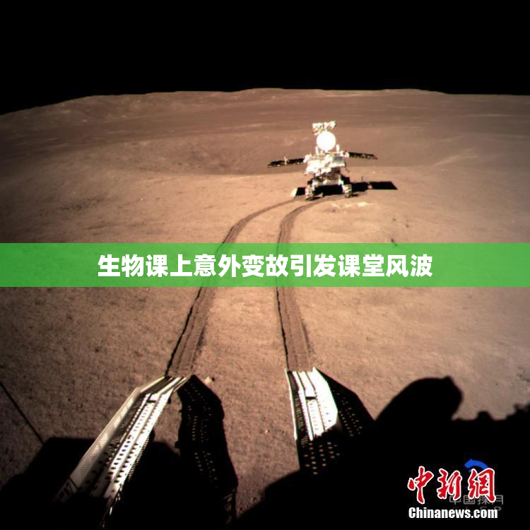生物课上意外变故引发课堂风波