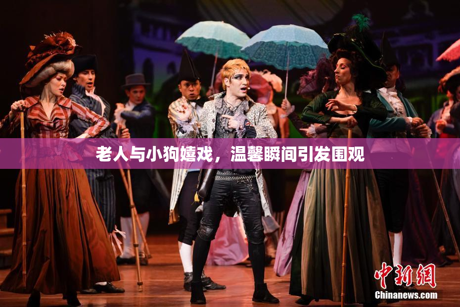 老人与小狗嬉戏，温馨瞬间引发围观