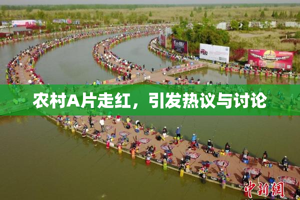农村A片走红，引发热议与讨论