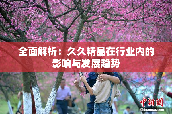 全面解析：久久精品在行业内的影响与发展趋势
