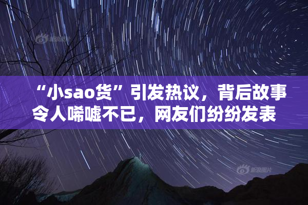 “小sao货”引发热议，背后故事令人唏嘘不已，网友们纷纷发表看法。
