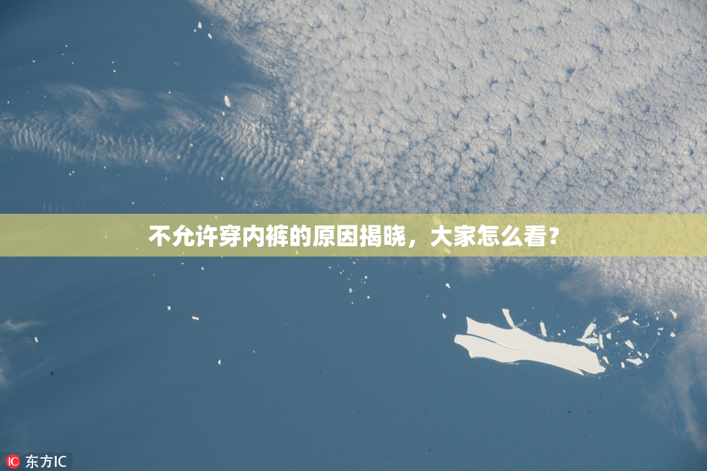 不允许穿内裤的原因揭晓，大家怎么看？