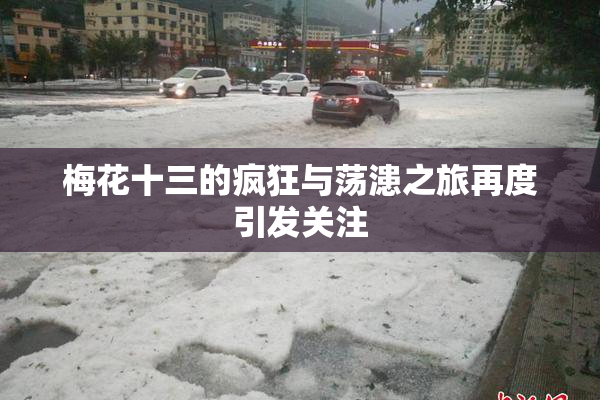 梅花十三的疯狂与荡漶之旅再度引发关注
